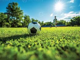 数据研究人员工作场景